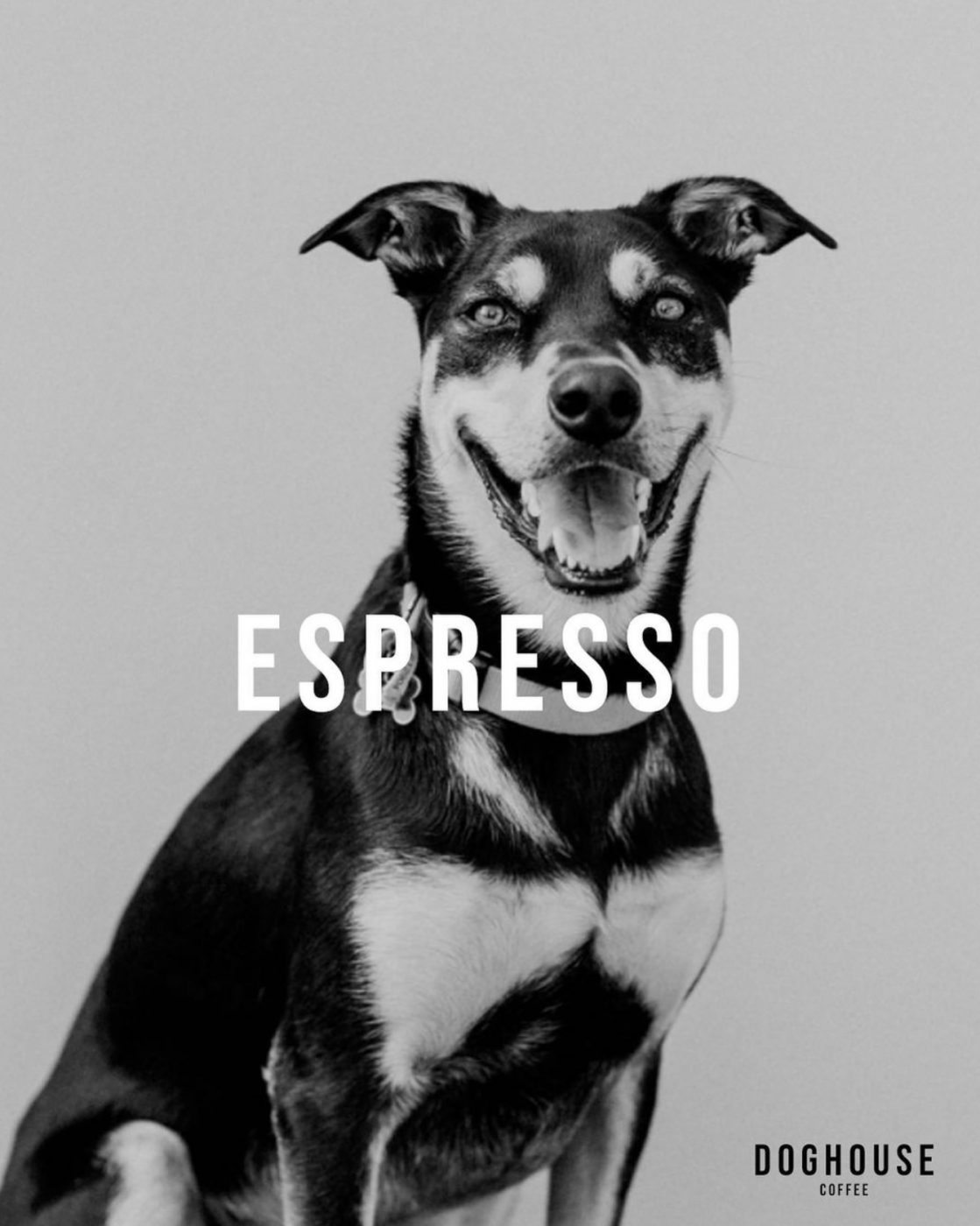 Doghouse Coffee & Cafe, Osborne Park by Aspire Group